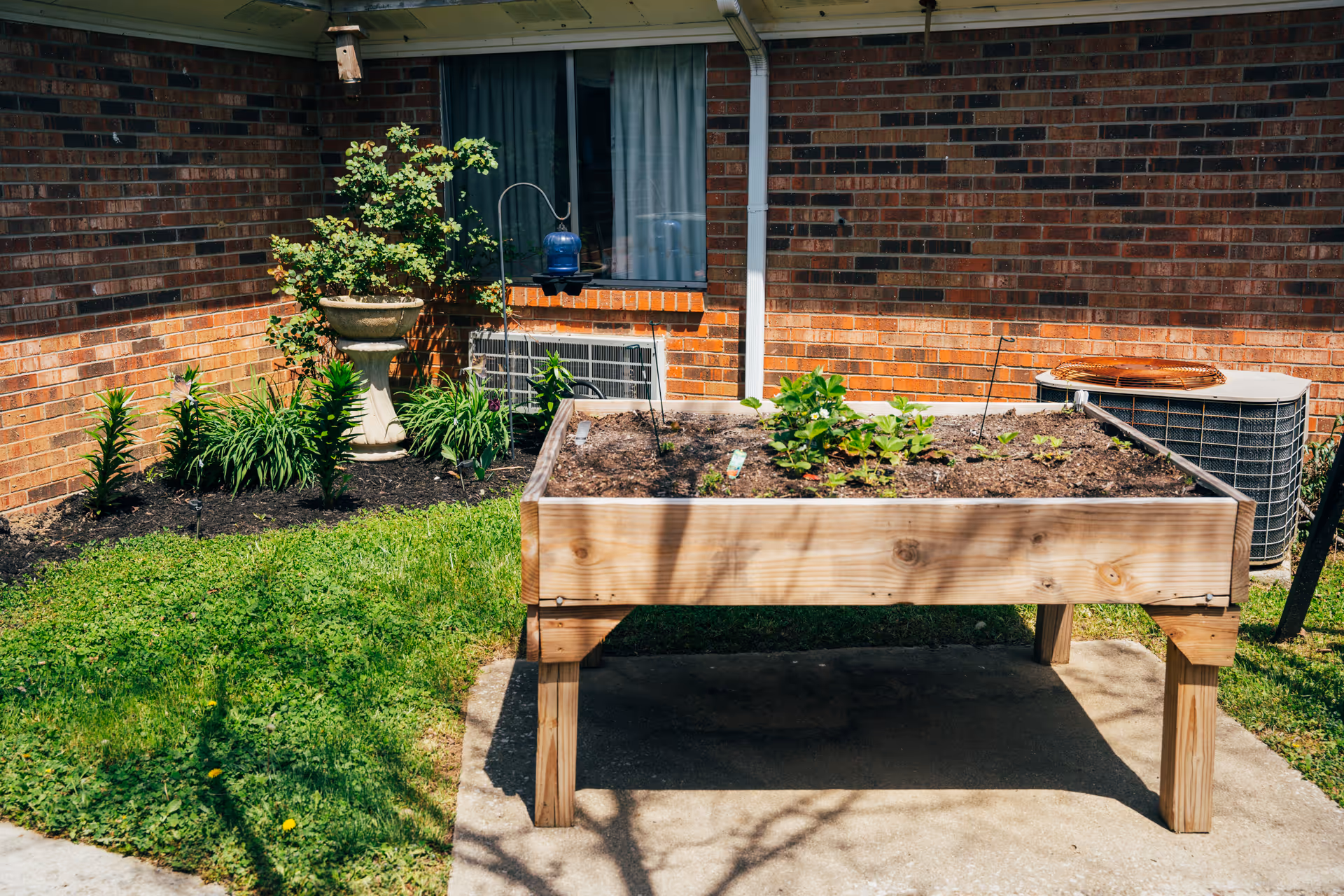 Raised wooden planter with young plants on a concrete pad outside a brick building with a window, air conditioner, and garden bed.