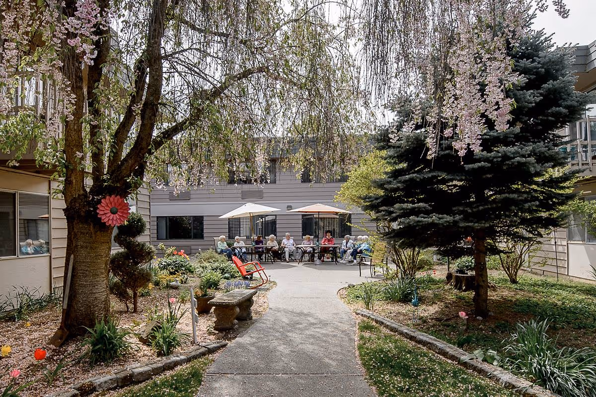 Outdoor courtyard area of a senior living facility with a paved walkway, flowering trees, shrubs, and garden beds. Several elderly people are seated in a row under two large umbrellas near the building, enjoying the outdoor space. There are benches and a red rocking chair along the walkway.