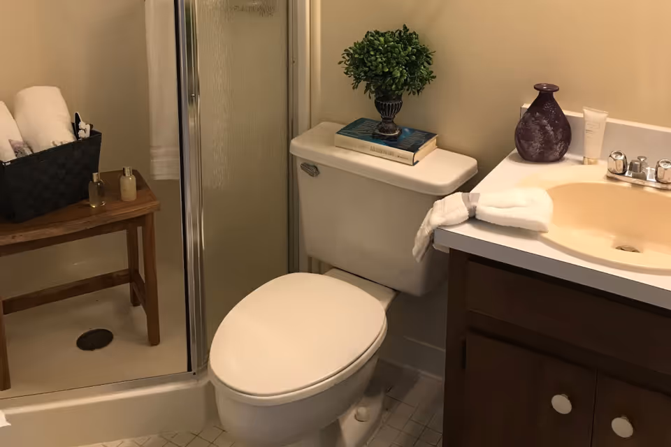 A small bathroom featuring a white toilet with a small green plant and two books on the tank lid. To the right is a sink with a beige basin, a purple vase, a tube of cream, and a white towel draped over the edge. To the left is a glass-enclosed shower with a wooden bench inside holding a black basket filled with rolled white towels and toiletries.