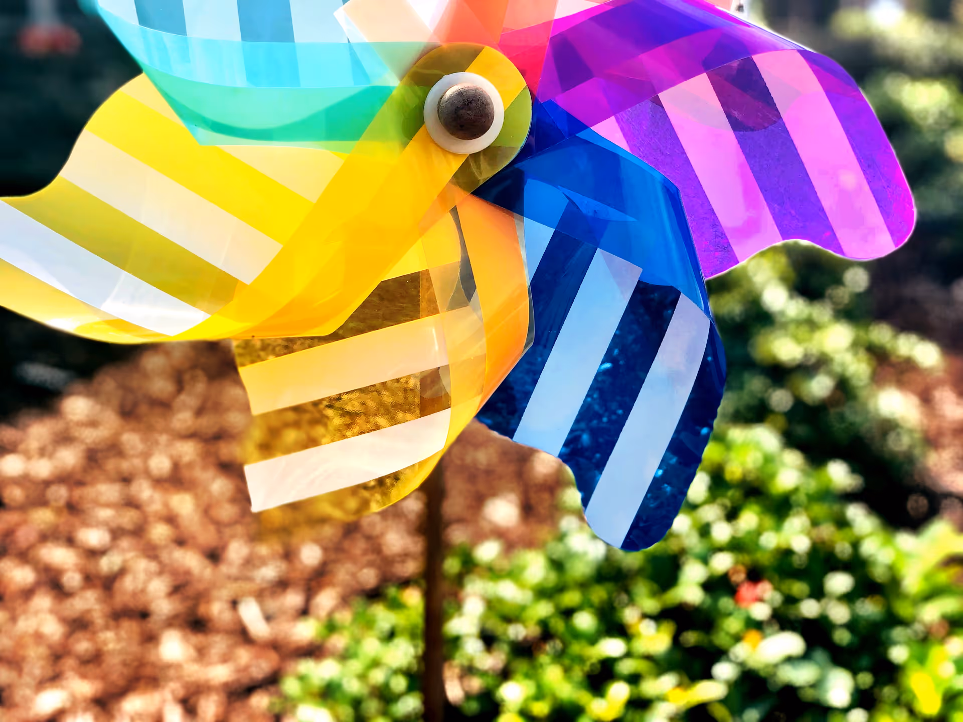 Close-up of a colorful striped plastic pinwheel against a sunlit garden background.
