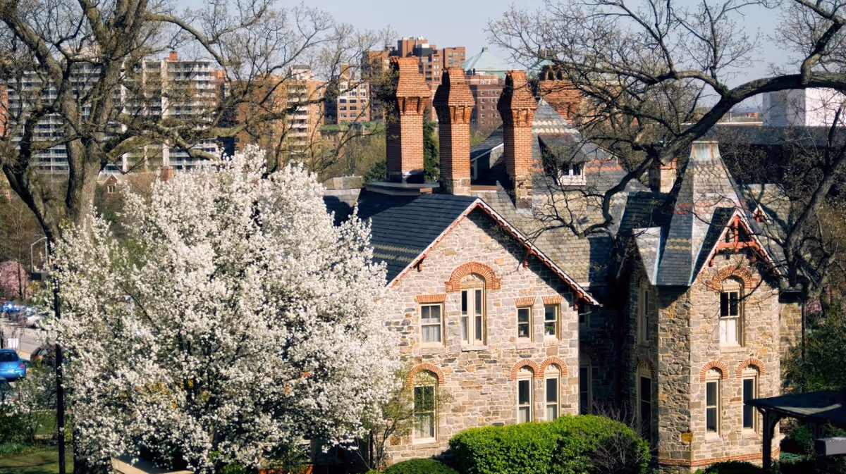 Stone building with multiple chimneys surrounded by trees, including a blooming white-flowered tree, with taller city buildings visible in the background under a clear sky.