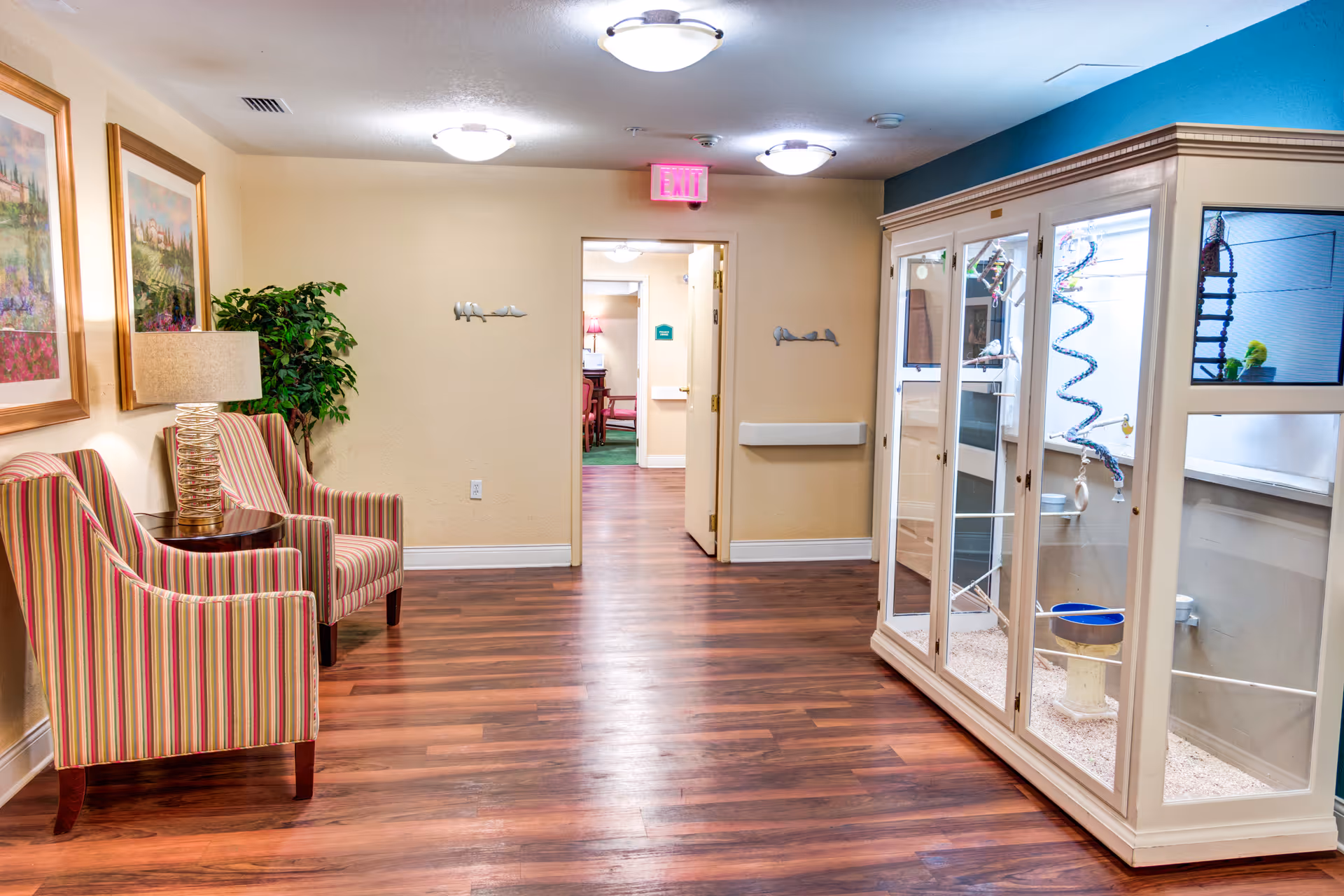 A hallway in a senior living facility with wooden flooring, two striped armchairs with a small round table and lamp between them on the left, framed artwork on the wall, a potted plant, and a large glass enclosure on the right housing birds and bird toys. The hallway leads to an open doorway with a glimpse of another room with chairs and a lamp.