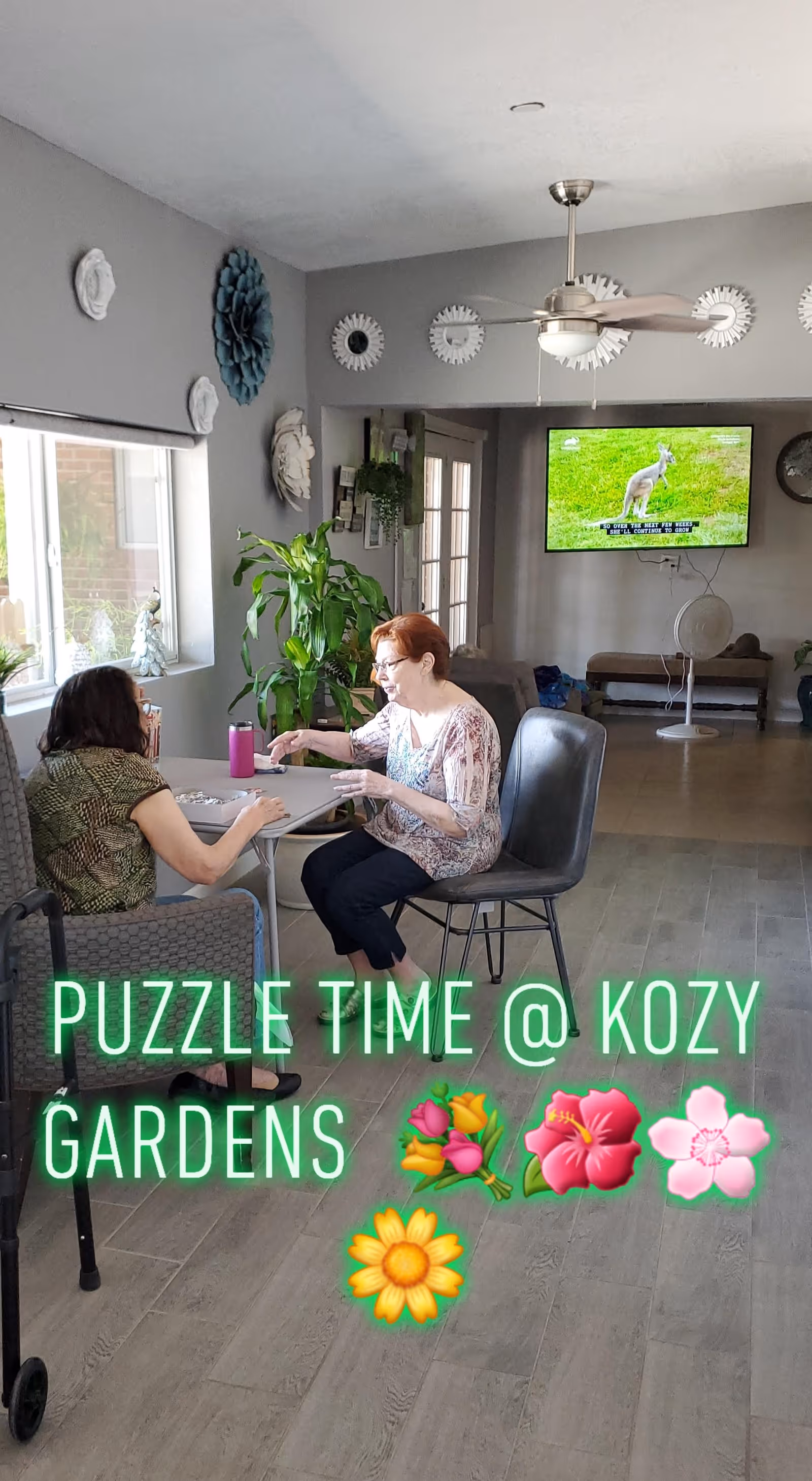 Two women sitting at a small table in a well-lit room with gray walls and wood flooring, working on a puzzle together. The room has decorative wall hangings, a ceiling fan, a large plant near the window, and a flat-screen TV mounted on the wall showing a kangaroo. There is a walker next to one of the women.
