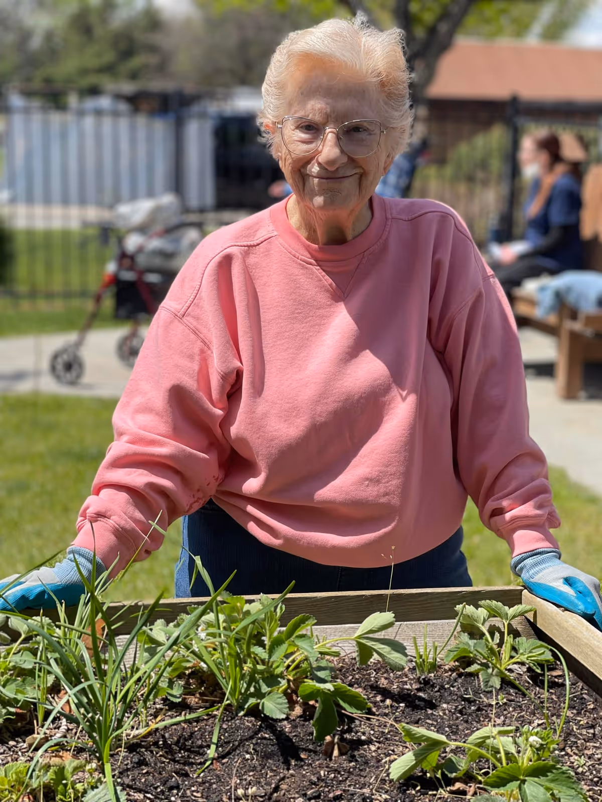 An elderly woman wearing glasses and a pink sweatshirt is gardening outdoors. She is standing behind a raised garden bed filled with soil and green plants, wearing blue gardening gloves. In the background, there is a fence, some trees, and other people sitting on benches.