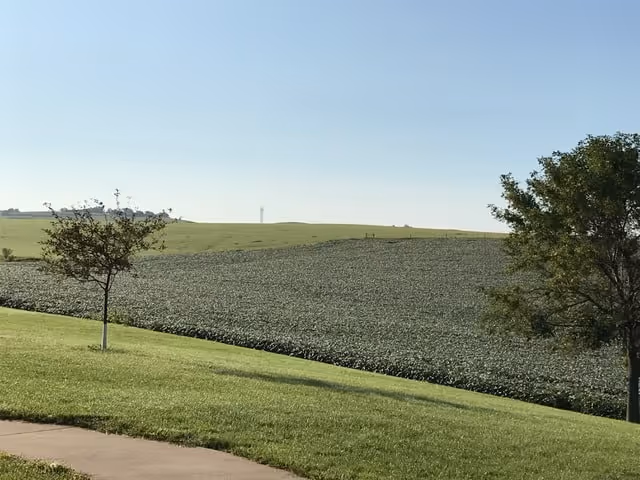 Open grassy slope beside a cultivated field under a clear blue sky.