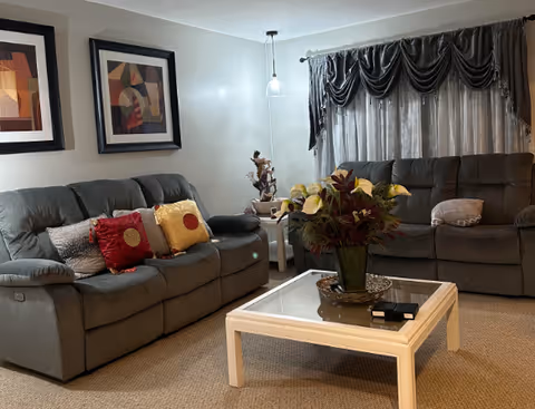 Living room with two gray reclining sofas, a white coffee table holding a potted plant, decorative pillows, framed artwork, and draped curtains.
