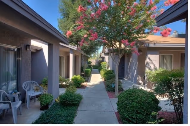 Walkway between single-story senior cottage apartments lined with shrubs, patio chairs, and a flowering tree.