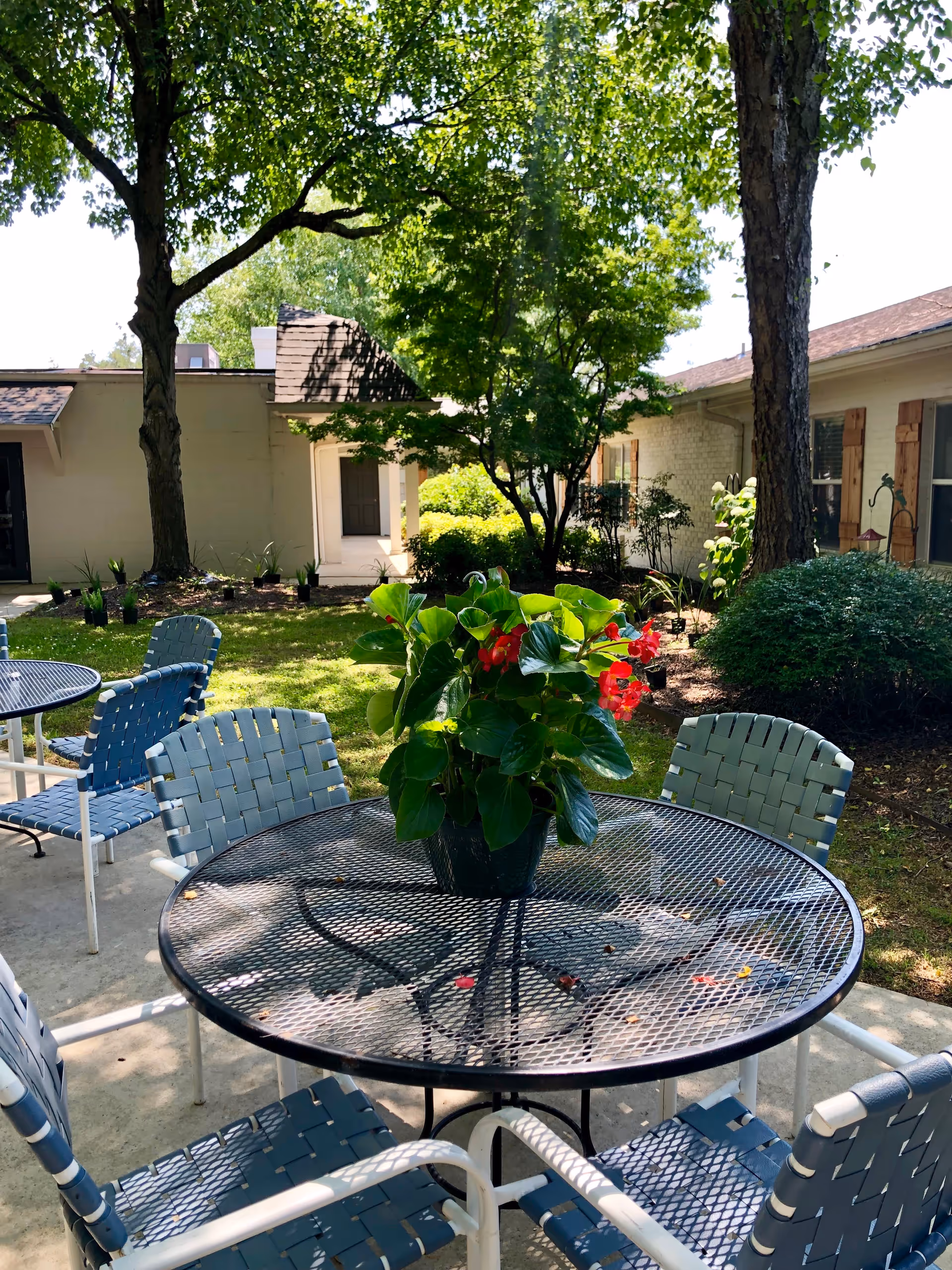 Outdoor patio area with a round metal table and four blue woven chairs surrounding it. A potted plant with green leaves and red flowers sits in the center of the table. The patio is shaded by tall trees and surrounded by bushes and a building with windows and wooden shutters.