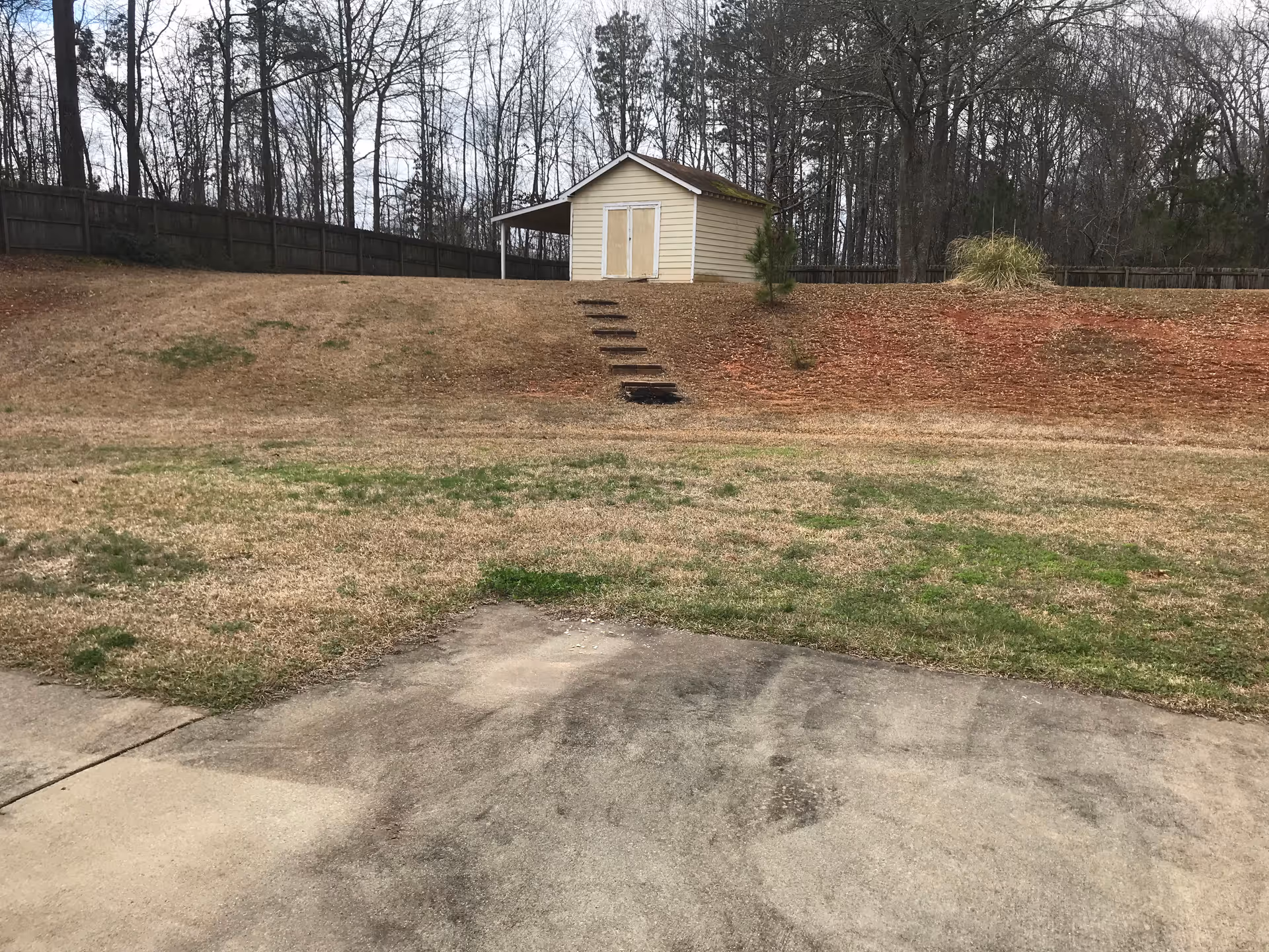 Grassy backyard with a small beige shed on a raised slope, concrete foreground and wooden steps leading up, with trees and a fence in the background.