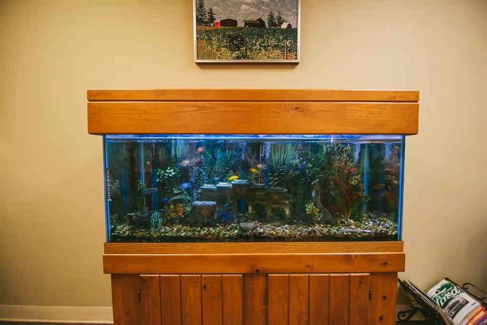A large rectangular aquarium with various colorful fish and aquatic plants inside, set in a wooden cabinet against a beige wall. Above the aquarium hangs a framed painting of a rural landscape with trees and buildings. To the right of the aquarium, there is a magazine rack with some magazines.