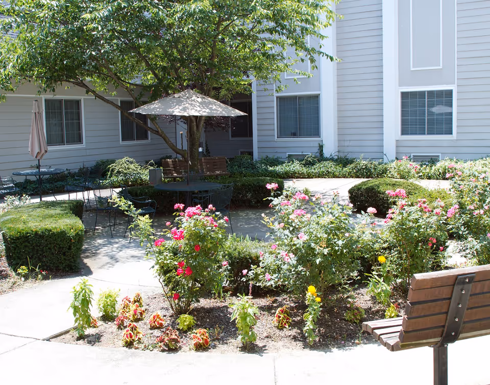 Outdoor courtyard with benches, flowering shrubs, and a shaded umbrella by the building.