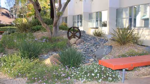 Outdoor garden area in front of a building with rocks, plants, and a red bench.