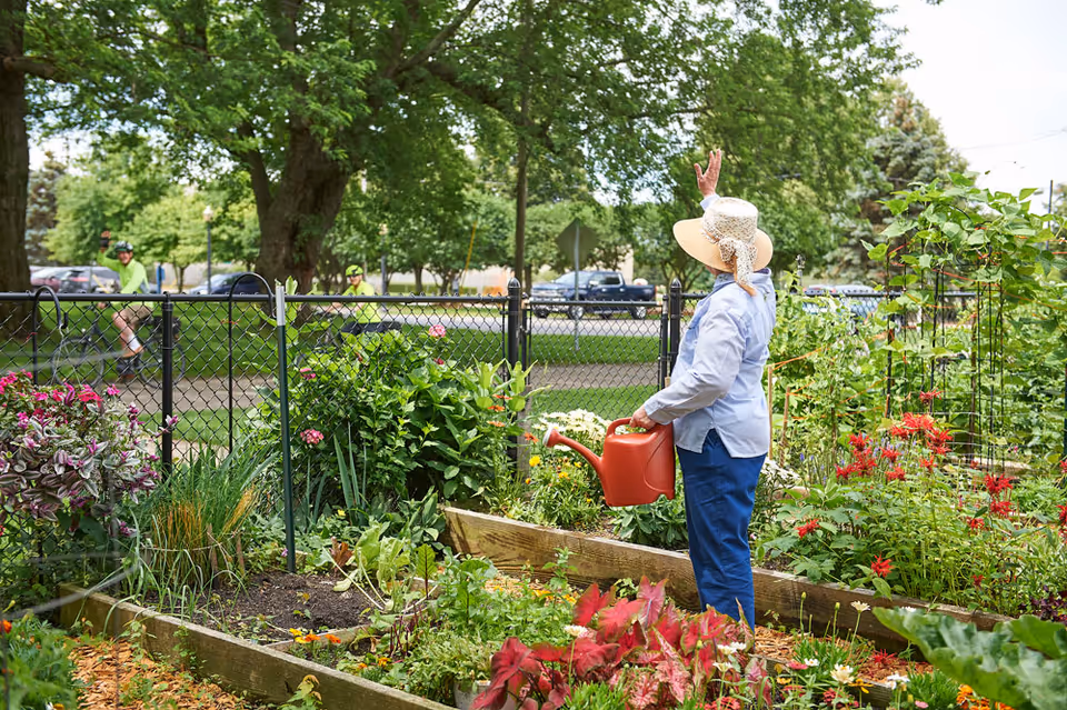 An elderly woman wearing a sun hat and light blue shirt waters plants in a raised garden bed in a lush community garden. She is waving towards two cyclists passing by on a path outside the fenced garden area. The scene is bright and sunny with green trees and colorful flowers.