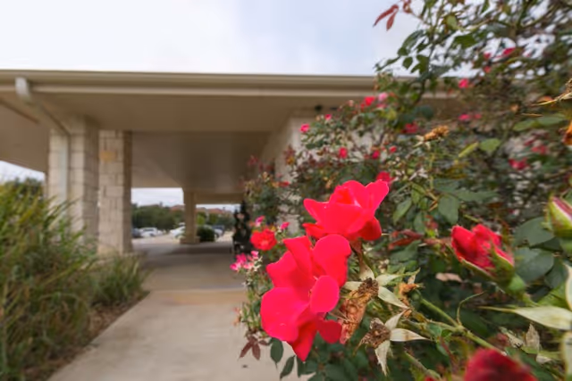 Photo 7 of Sonterra Health Center