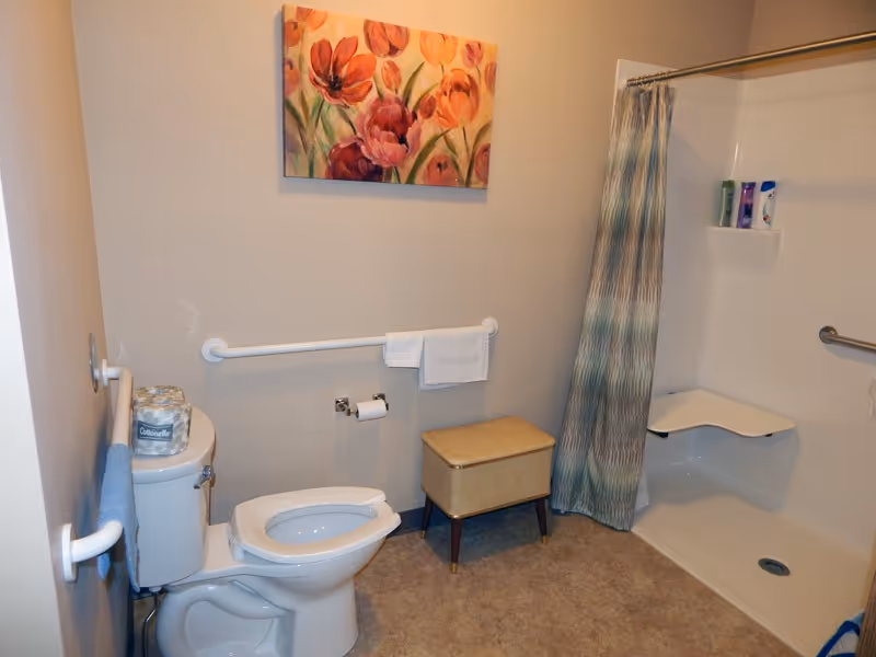 A bathroom with a toilet, grab bars on the walls, a small cushioned stool, and a walk-in shower with a shower curtain and built-in seat. There is a colorful floral painting on the wall above the toilet.