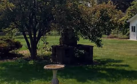Outdoor grassy yard with a tree, birdbath, and a stone brick structure near a white building.