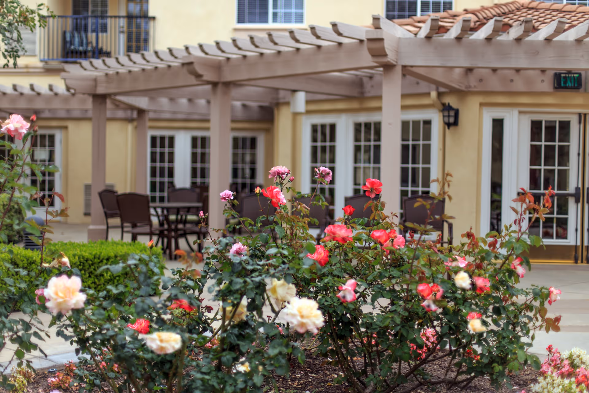 Outdoor patio area with a pergola and several chairs and tables, surrounded by blooming rose bushes in various colors including pink, red, and white. The background shows a building with multiple glass doors and windows.