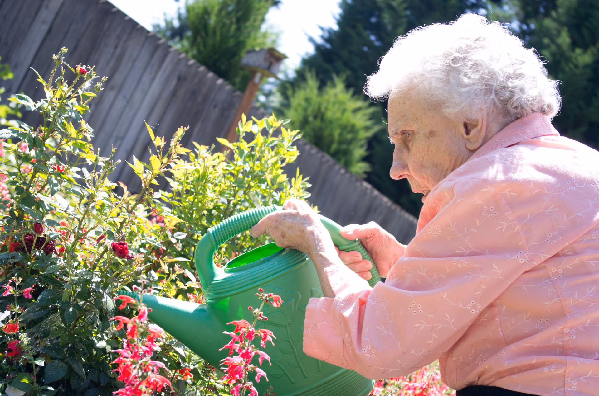 An elderly woman with white curly hair wearing a pink blouse is watering plants with a green watering can in a garden. The garden has various flowering plants and a wooden fence in the background.