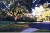 A tree-shaded grassy lawn with a curved driveway and a short sidewalk in a landscaped outdoor area.