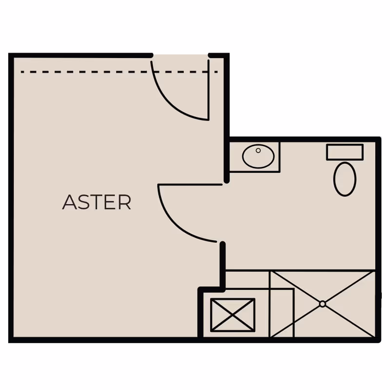 Floor plan labeled 'ASTER' showing a main room with an entrance door, a bathroom with a sink, toilet, and shower area.