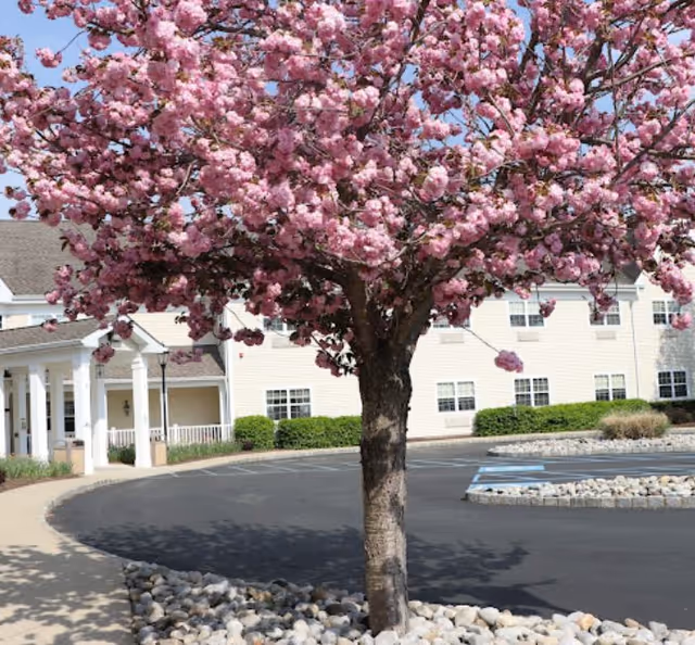 Pink blossoming tree in foreground near Mira Vie at Brookfield building entrance.