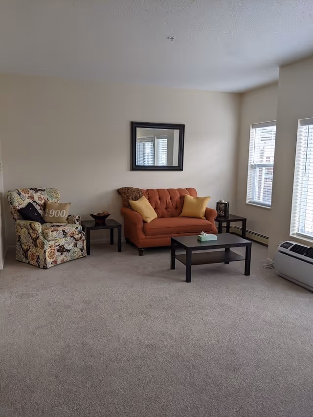 A living room with a floral patterned armchair with two pillows, a small black side table, an orange tufted loveseat with two yellow pillows, a black coffee table with a tissue box, two windows with white blinds, a wall-mounted mirror, and a white heating/cooling unit on the floor.