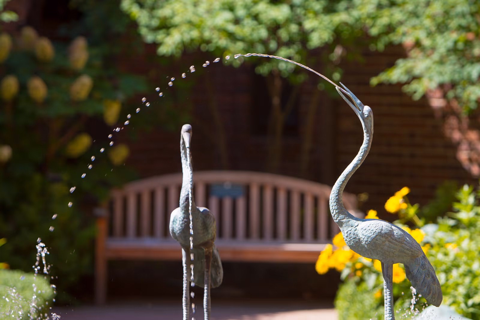 Two metal bird sculptures in a garden water fountain with water arcing from the beak of one bird to the other, a wooden bench and greenery with yellow flowers in the background.