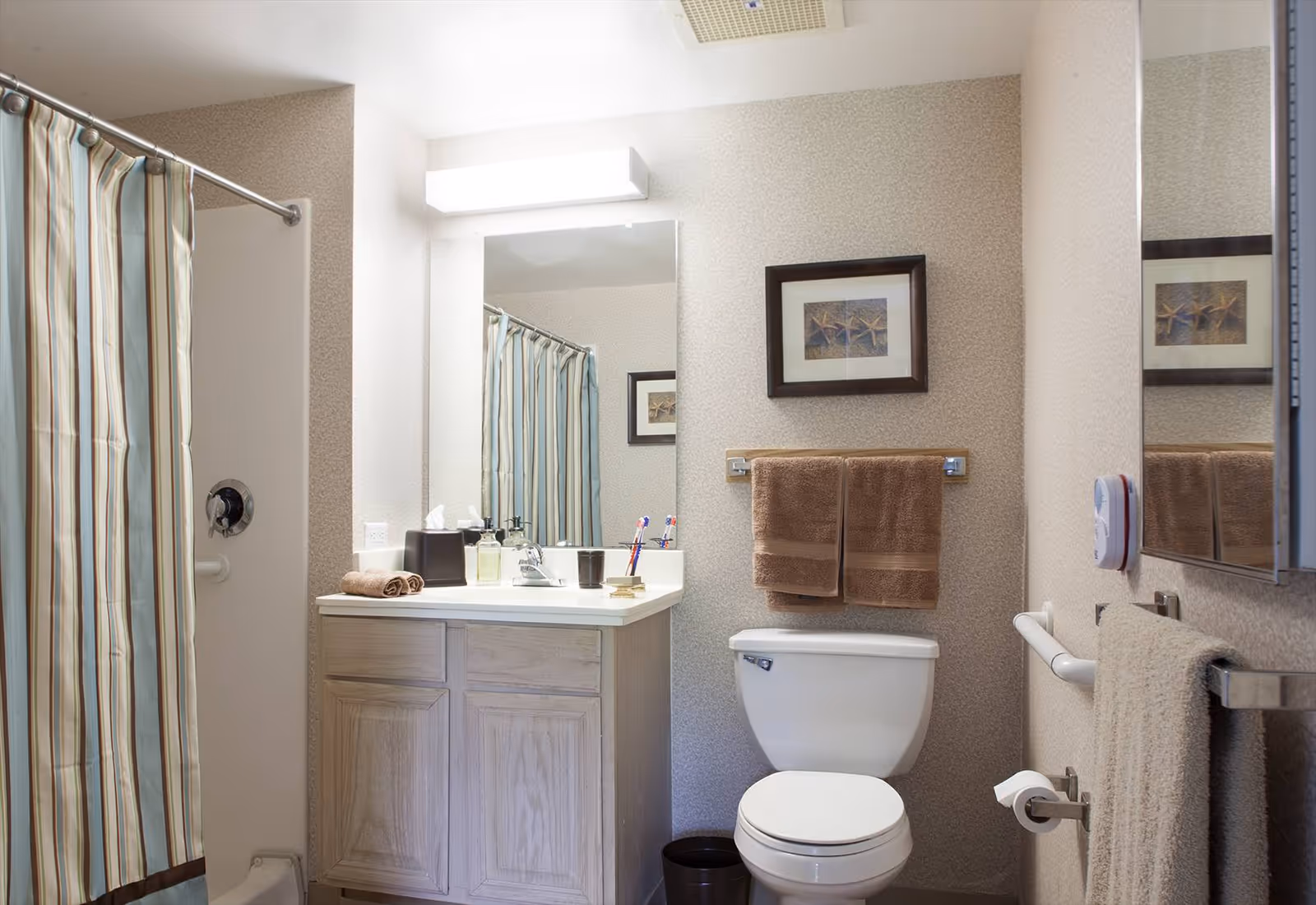 Bright, accessible bathroom with a sink vanity and mirror, toilet, striped shower curtain, towels on racks, and grab bars.