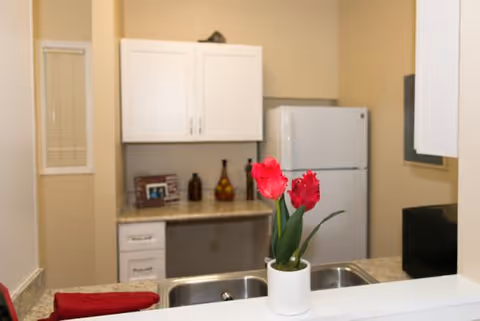 A small kitchen area with a white refrigerator, white cabinets, and a granite countertop. On the countertop near the sink, there is a white pot with red tulips. Decorative bottles and a framed photo are placed on the back counter. A red towel is draped over the counter edge.