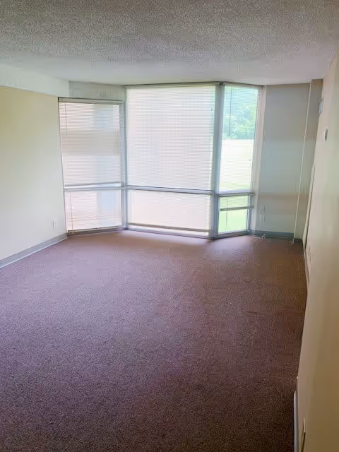Empty room with beige walls and carpeted floor featuring a large window with vertical blinds partially open, allowing natural light to enter and showing greenery outside.