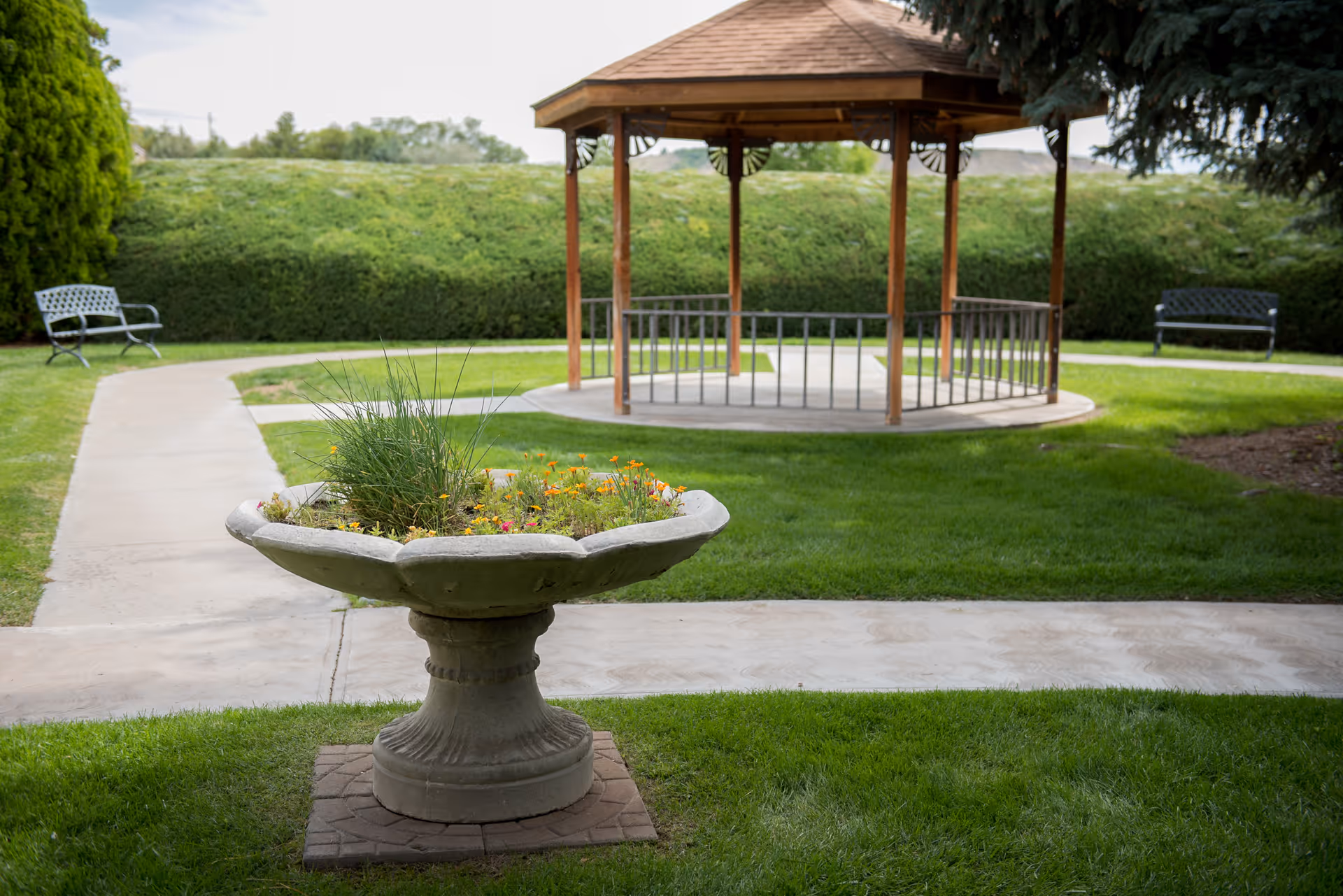 A well-maintained outdoor garden area with a concrete flower planter filled with grass and small flowers in the foreground. In the background, there is a wooden gazebo with a shingled roof and metal railings, surrounded by green grass and paved walkways. Two metal benches are placed along the walkway near a hedge.