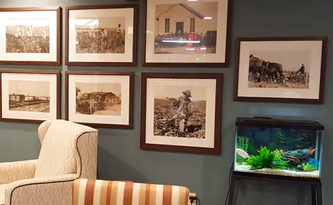 A cozy interior corner of a room featuring a beige upholstered armchair and a striped chair in front. The wall behind them is painted green and decorated with seven framed sepia-toned vintage photographs depicting rural and farming scenes. To the right, there is a fish tank with green plants and colorful fish inside.