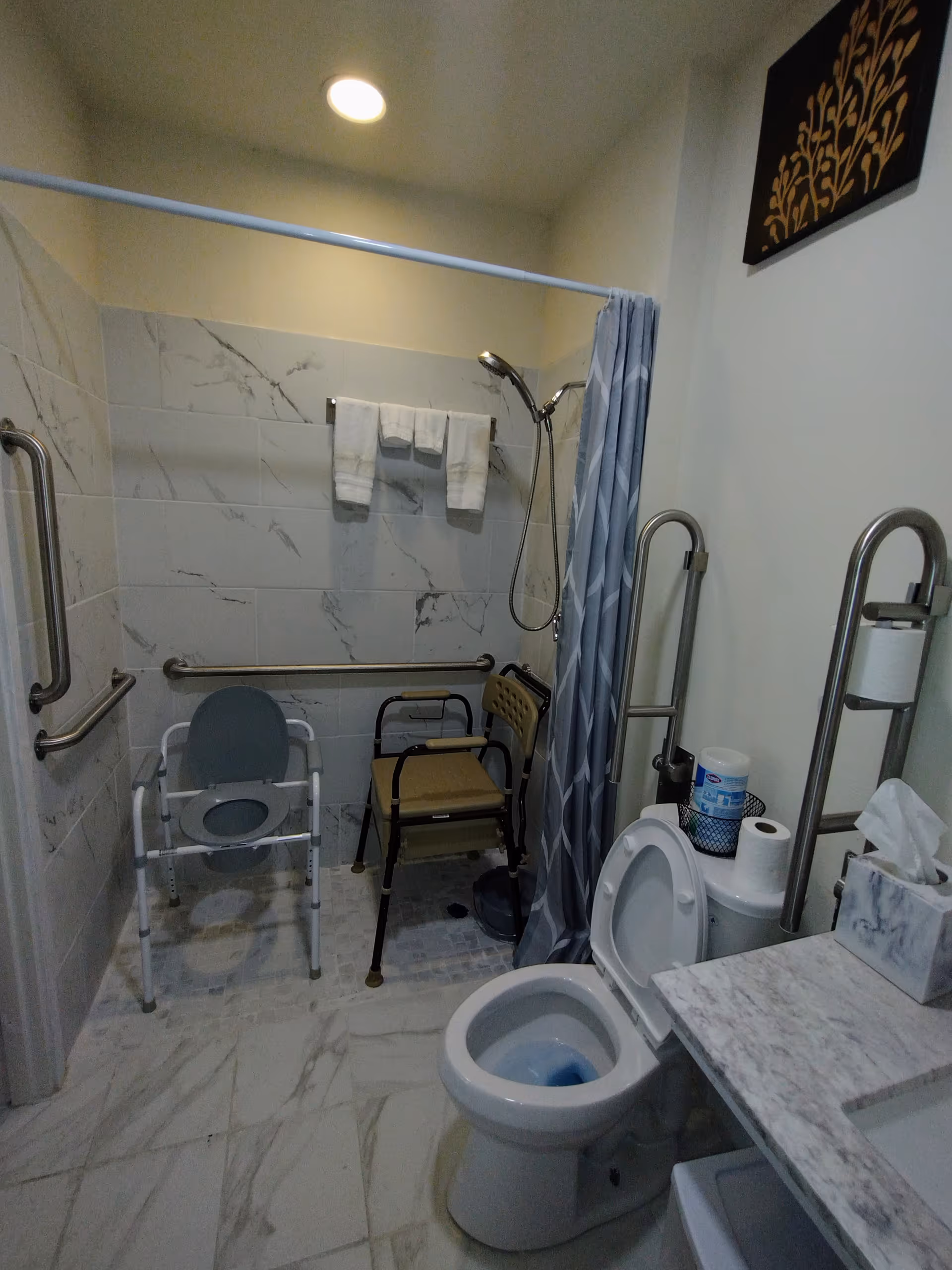 Bathroom with a toilet, shower area equipped with shower chairs, grab bars, and a shower curtain.