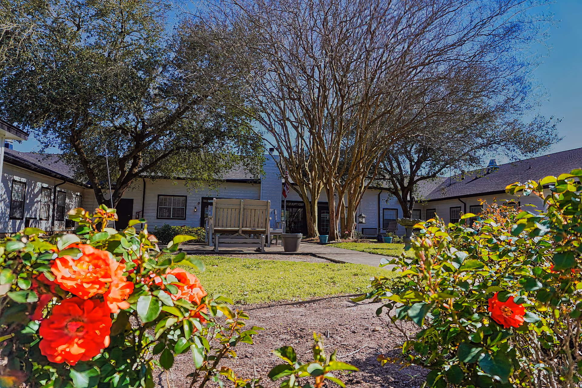 Outdoor courtyard area at Sodalis Lake Jackson with blooming red flowers in the foreground, green grass, leafless trees, and a white building with multiple windows and a bench in the background under a clear blue sky.