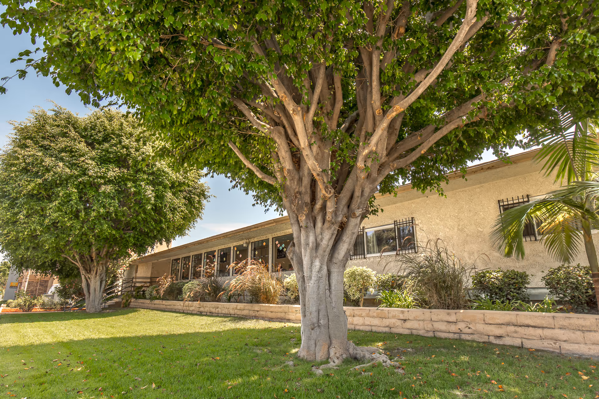 Exterior view of Windsor Palms Care Center of Artesia showing a single-story building with several windows, surrounded by green grass, bushes, and large leafy trees under a clear sky.
