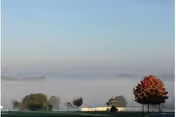 A foggy outdoor scene with a grassy field, several trees including one with red leaves, and a low building partially obscured by fog in the background under a clear sky.