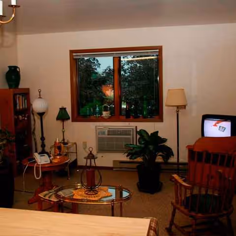 Cozy living room with wood furniture, plants, lamps, and a window view.