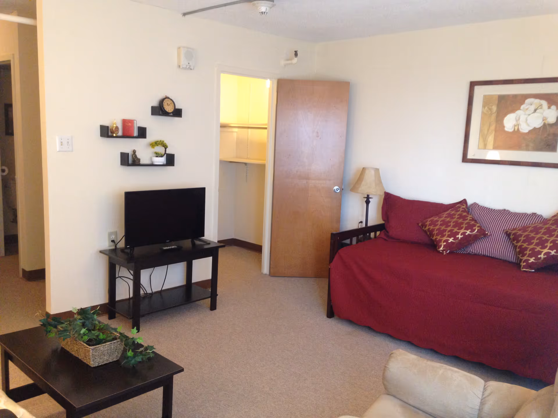 A cozy living room with a maroon daybed covered with matching pillows, a floor lamp beside it, a small black TV stand with a flat-screen TV, and three small decorative shelves on the wall holding small items. There is a coffee table with a basket of green plants in the foreground, an open door revealing a closet, and a framed floral artwork on the wall.