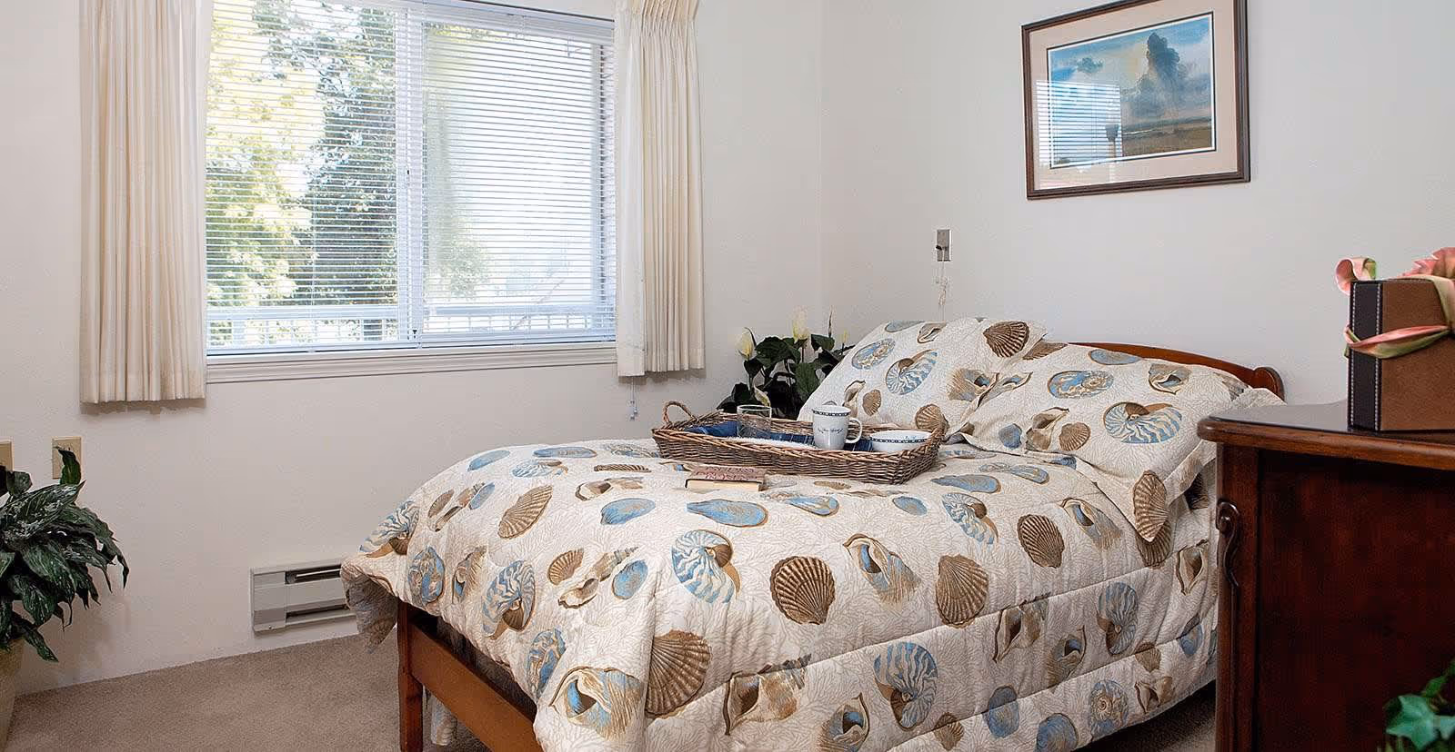 A bedroom with a bed covered in a seashell-patterned comforter. There is a wicker tray on the bed with two cups and a glass. A window with closed blinds and cream-colored curtains is on the left wall. A framed picture hangs on the wall above the bed. There are green plants on either side of the bed and a wooden dresser with a gift box on top on the right side.