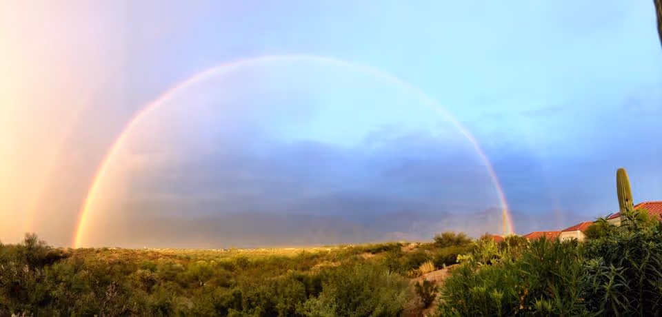 A scenic outdoor view featuring a vibrant double rainbow arching over a desert landscape with green shrubs and cacti, under a partly cloudy sky.