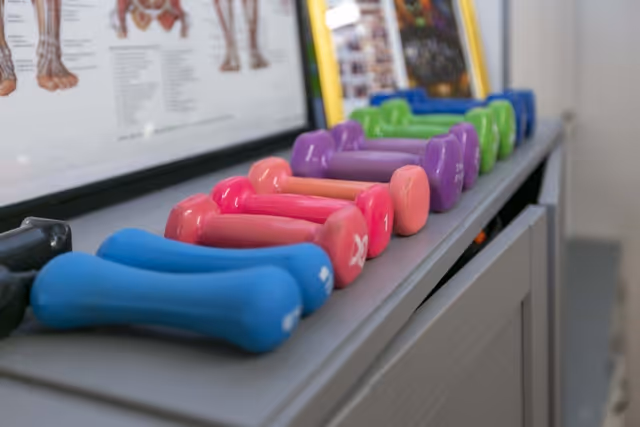 A row of colorful small dumbbells lined up on a cabinet with an anatomy poster in the background.