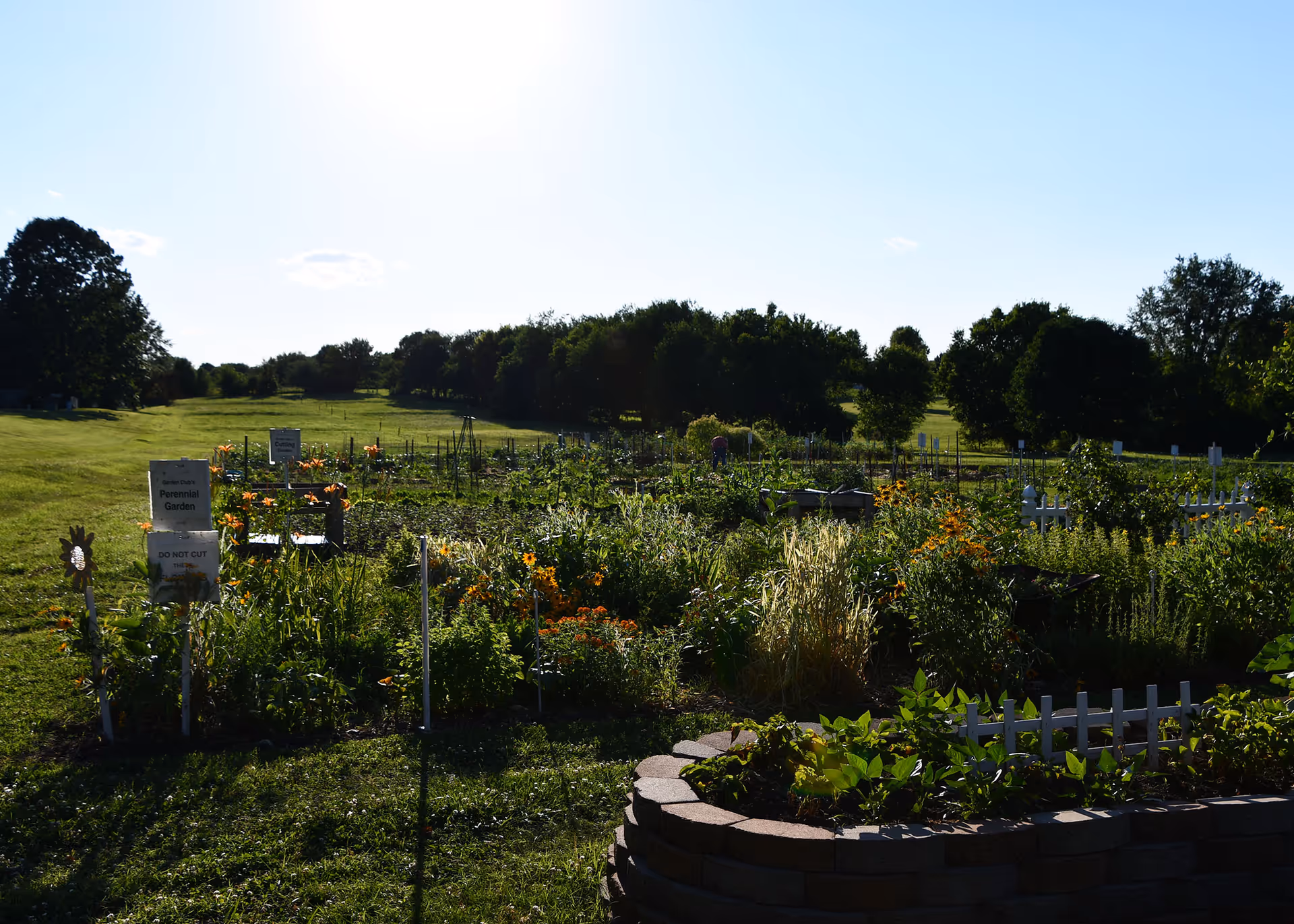 A lush garden area with various plants and flowers, including a raised circular flower bed in the foreground. There are signs indicating a perennial garden and instructions not to cut the plants. The garden is surrounded by green grass and trees in the background under a clear blue sky.