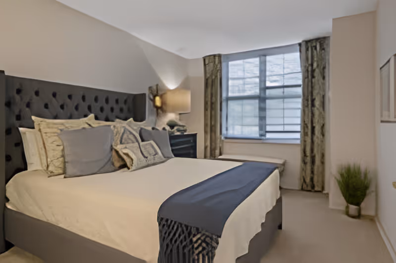 A neatly made bed with multiple pillows and a dark tufted headboard in a bedroom. There is a bedside table with a lamp and decorative items, a large window with curtains, and a small potted plant on the floor near the wall.