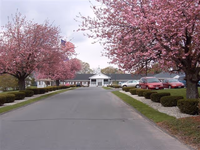View of a single-story building at the end of a paved driveway lined with neatly trimmed bushes and blooming pink cherry blossom trees on both sides. Several parked cars are visible on the right side near the building, and an American flag is flying on a flagpole near the entrance.