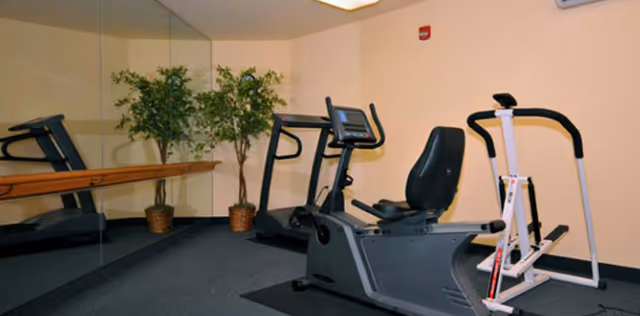 Small fitness room with exercise equipment including a recumbent stationary bike and a stepper machine, two potted plants in the corner, and a large mirror on one wall reflecting the equipment and plants.