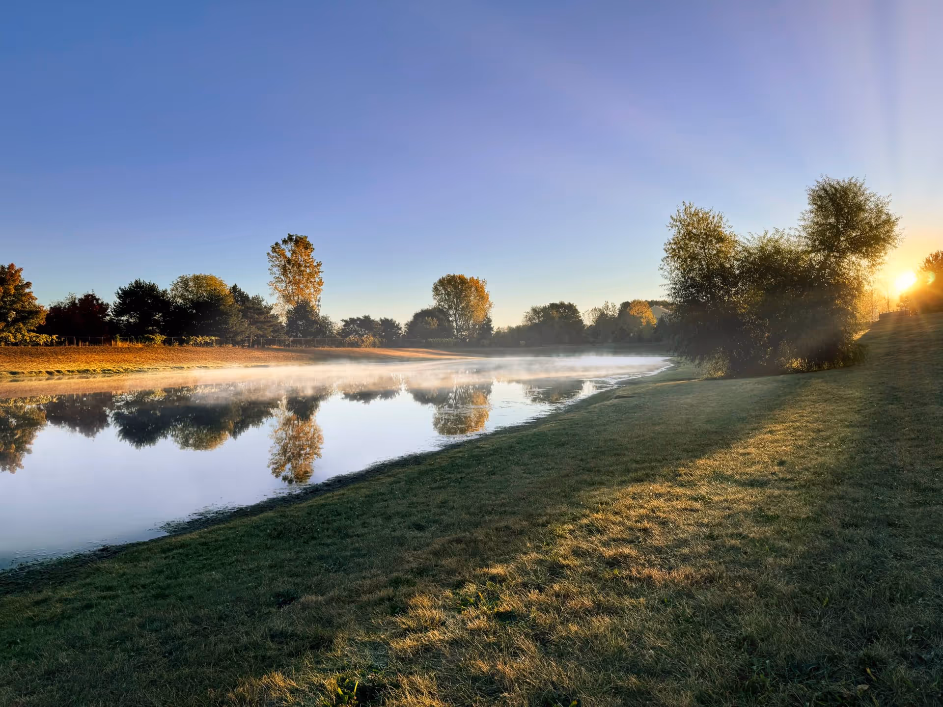 Sunrise over a calm pond with mist, trees, and a grassy shoreline.