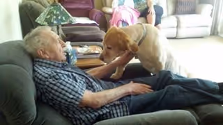 An elderly man reclining on a sofa interacts affectionately with a large dog in a cozy living room setting. In the background, another person is seated on a couch near a window with light streaming in.