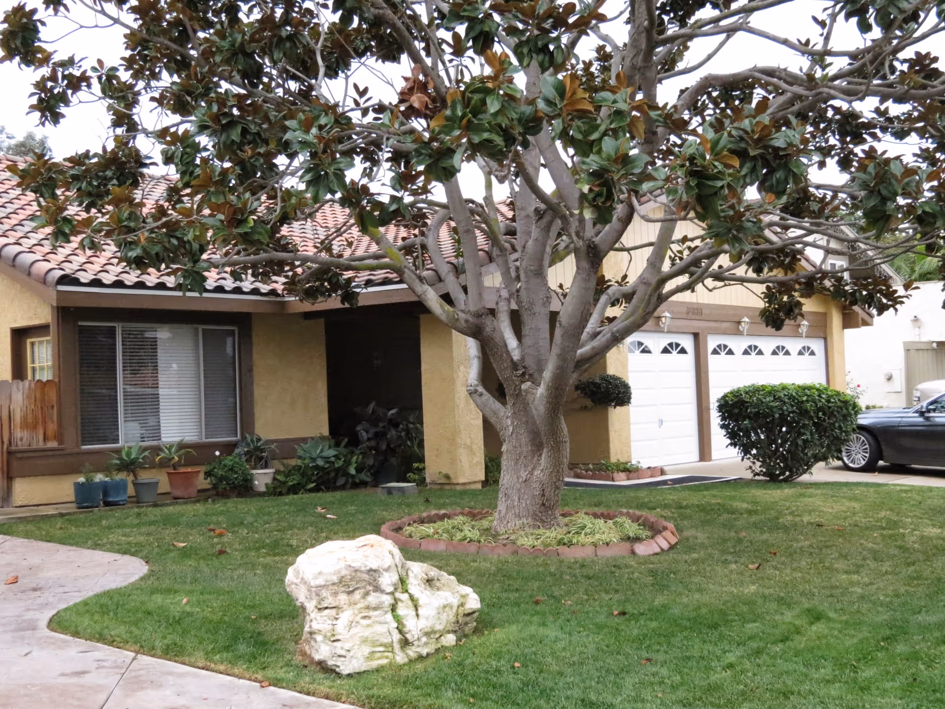 Front yard of a single-story house with a large tree in the center surrounded by a circular brick border, a large rock on the grass, several potted plants near the window, a two-car garage with white doors, and a parked car on the driveway.