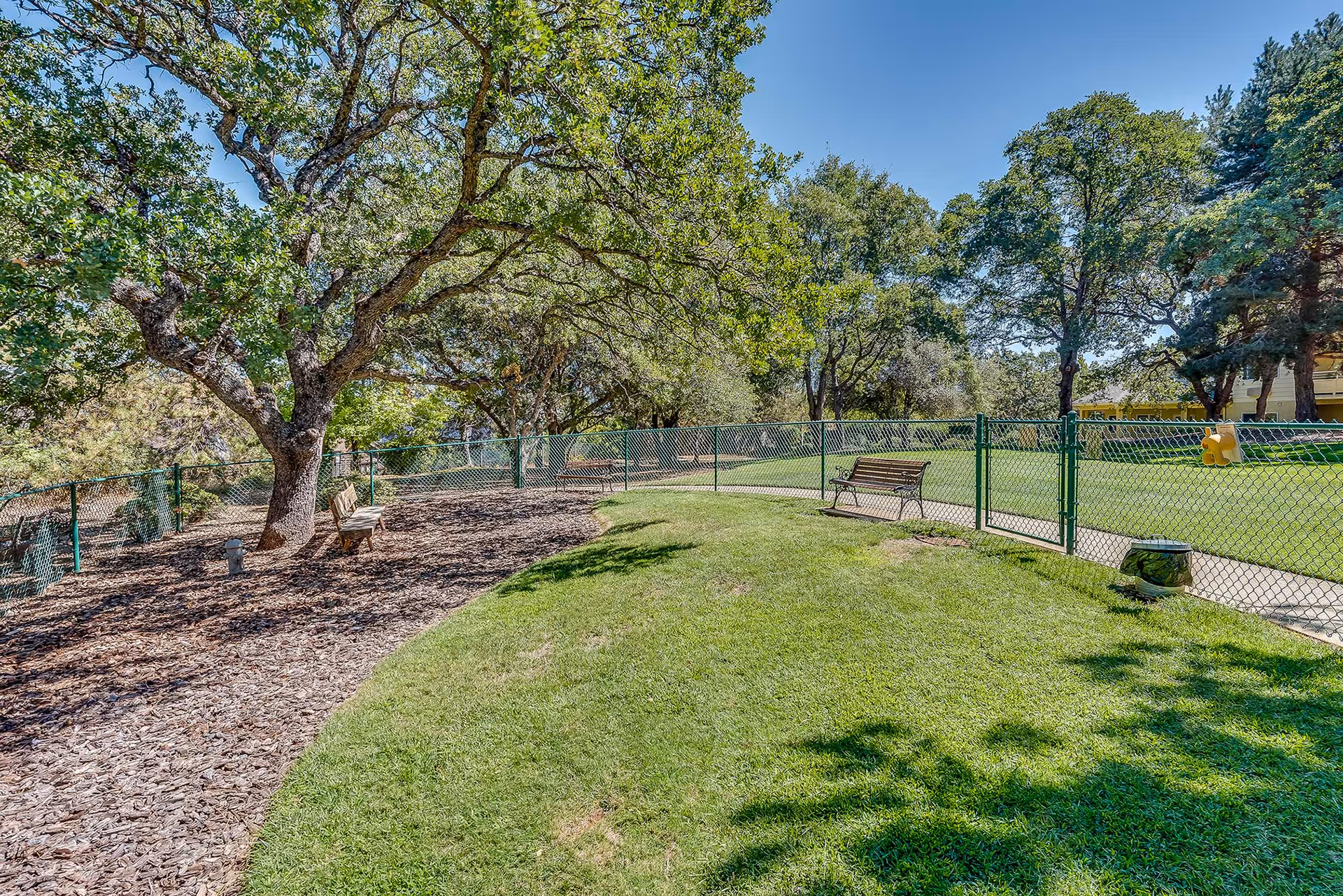 Outdoor area with green grass, several large trees, a chain-link fence, and wooden benches along a curved pathway under a clear blue sky.