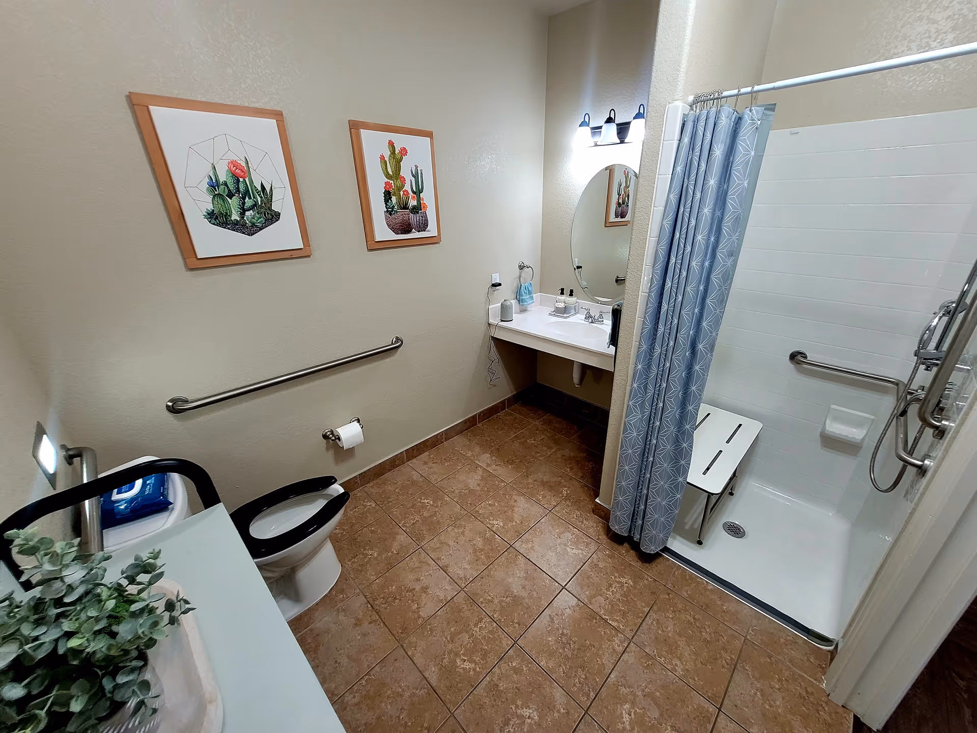 A clean and accessible bathroom with a toilet, a sink with a mirror and light fixture above it, and a walk-in shower with a blue patterned curtain and a white shower seat. The walls have two framed cactus-themed artworks, and there are grab bars near the toilet and inside the shower. The floor is tiled in a brownish color.